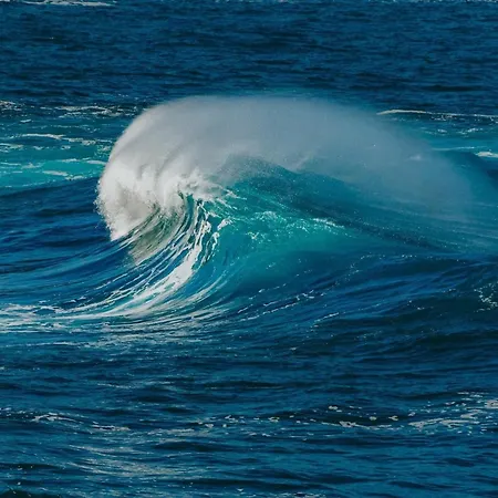 Hello Ocean Tacoronte